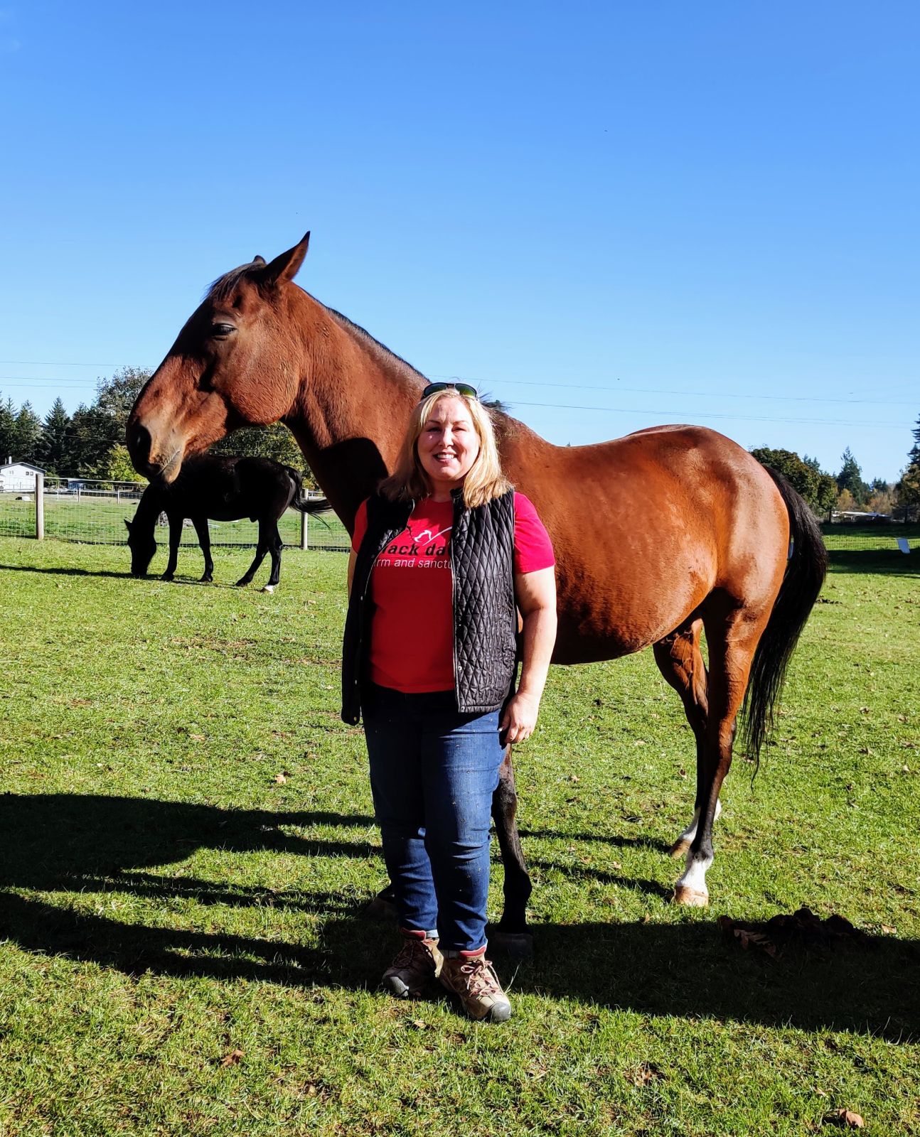 Black Dawg Sanctuary Offers Refuge for Animals in Rainier